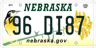 NE license plate 96DI87