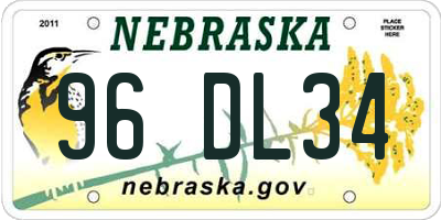NE license plate 96DL34
