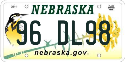 NE license plate 96DL98