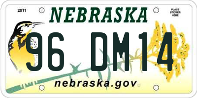 NE license plate 96DM14