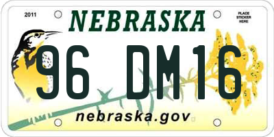 NE license plate 96DM16