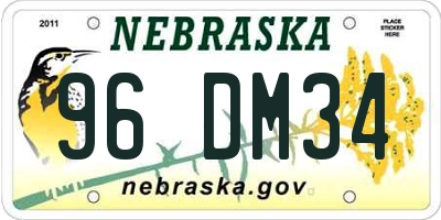 NE license plate 96DM34