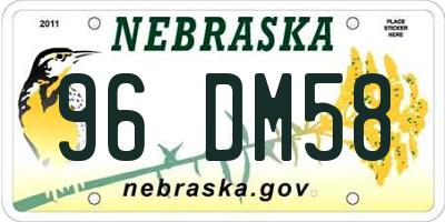 NE license plate 96DM58