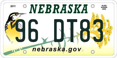 NE license plate 96DT83