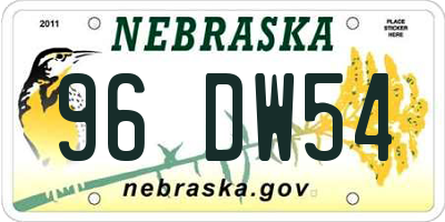 NE license plate 96DW54