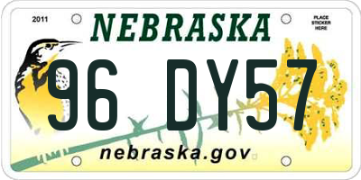 NE license plate 96DY57