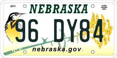 NE license plate 96DY84
