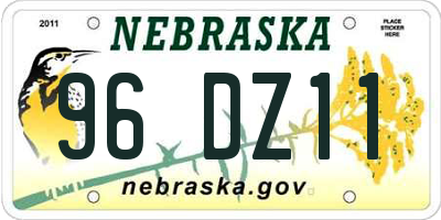 NE license plate 96DZ11