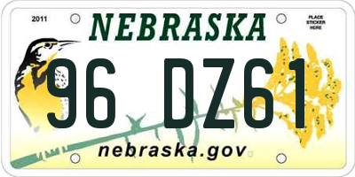 NE license plate 96DZ61
