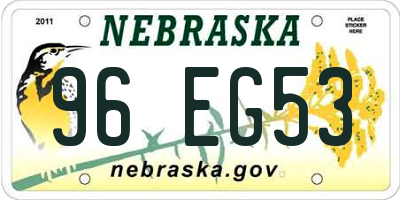 NE license plate 96EG53