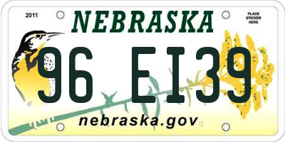 NE license plate 96EI39