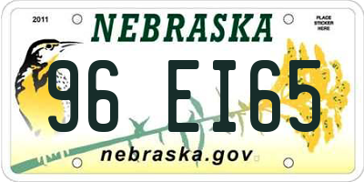 NE license plate 96EI65