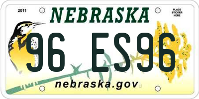 NE license plate 96ES96