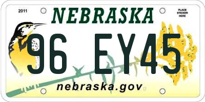 NE license plate 96EY45