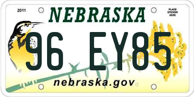 NE license plate 96EY85