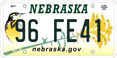 NE license plate 96FE41