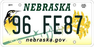 NE license plate 96FE87