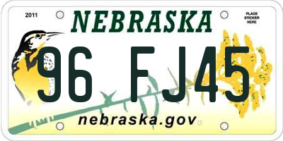 NE license plate 96FJ45