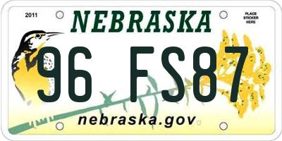 NE license plate 96FS87