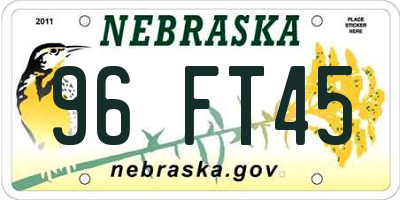 NE license plate 96FT45