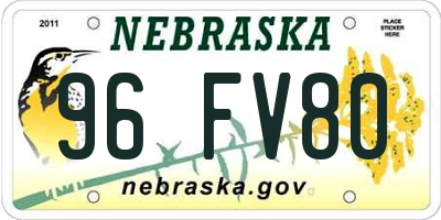 NE license plate 96FV80