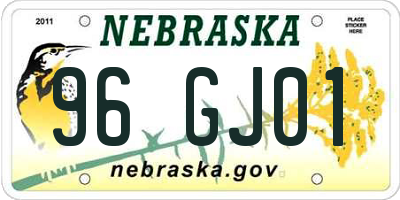 NE license plate 96GJ01