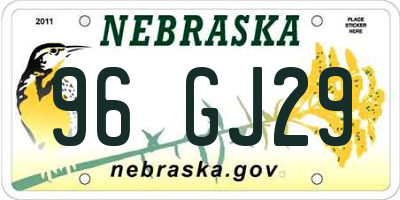 NE license plate 96GJ29
