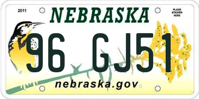 NE license plate 96GJ51