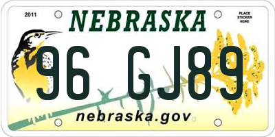 NE license plate 96GJ89