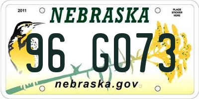 NE license plate 96GO73