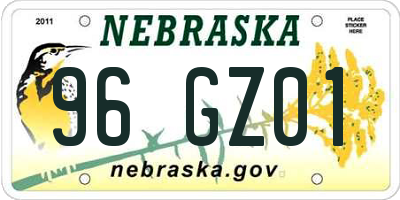 NE license plate 96GZ01