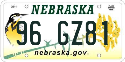 NE license plate 96GZ81