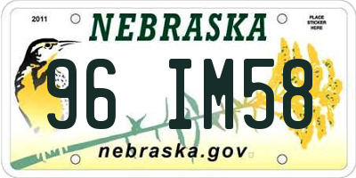 NE license plate 96IM58