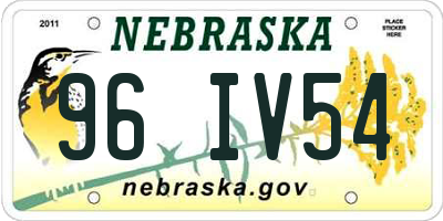 NE license plate 96IV54