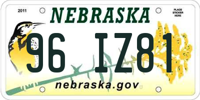 NE license plate 96IZ81