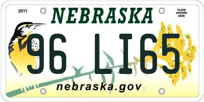 NE license plate 96LI65