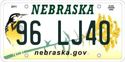 NE license plate 96LJ40