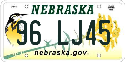NE license plate 96LJ45