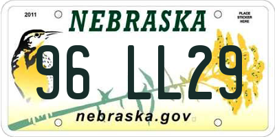 NE license plate 96LL29