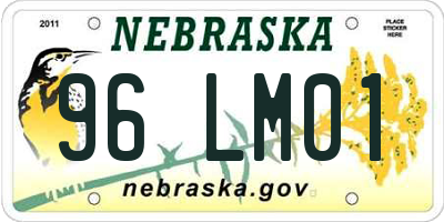 NE license plate 96LM01