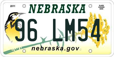 NE license plate 96LM54