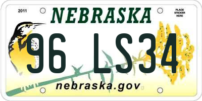 NE license plate 96LS34
