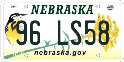 NE license plate 96LS58