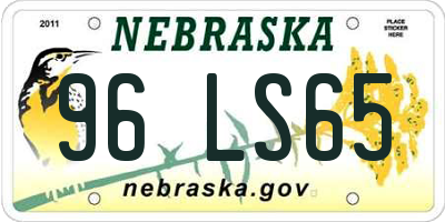 NE license plate 96LS65