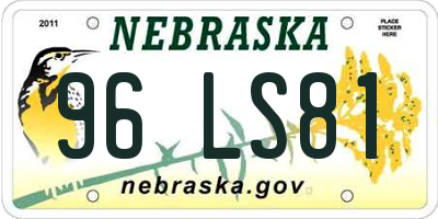 NE license plate 96LS81