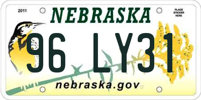 NE license plate 96LY31