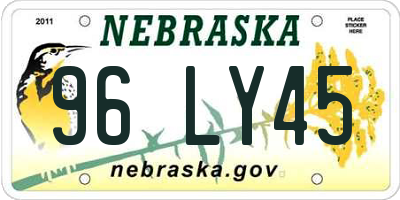 NE license plate 96LY45