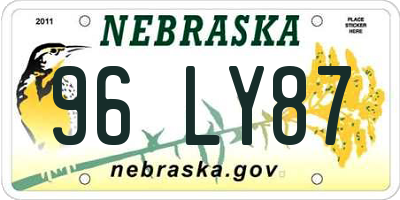 NE license plate 96LY87