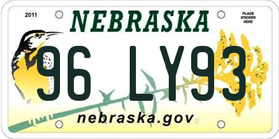 NE license plate 96LY93