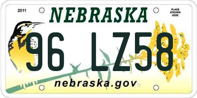 NE license plate 96LZ58